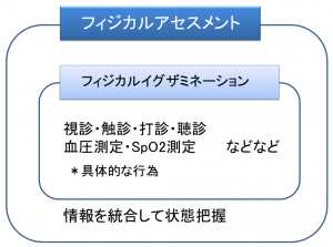 フィジカルアセスメント フィジカルイグザミネーションとの違い 気楽な看護 リハビリlife